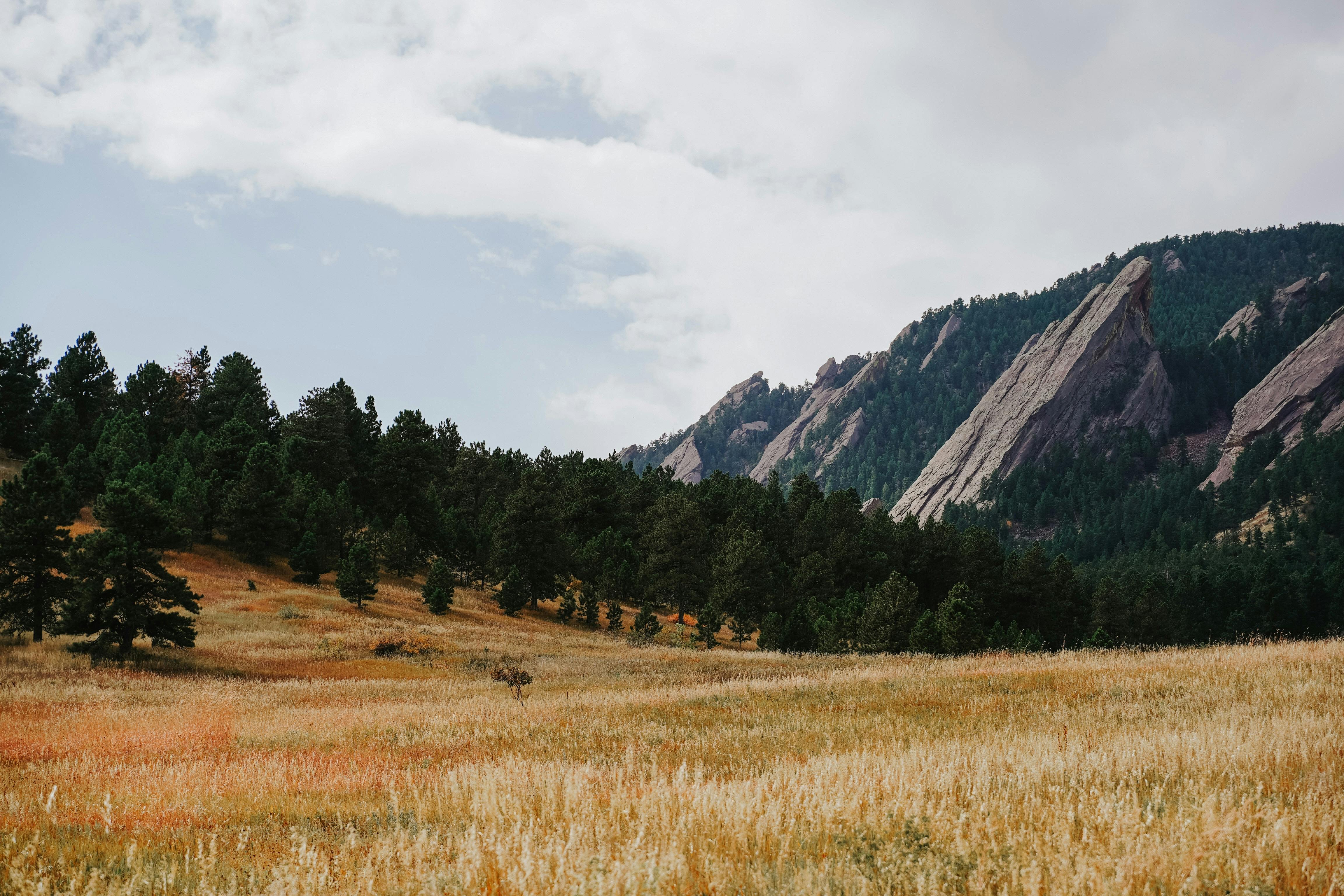 Colorado landscape